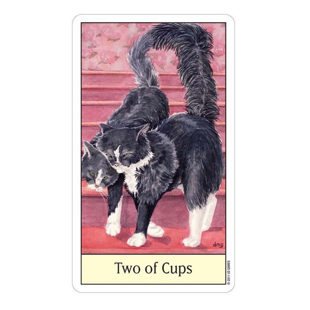 Cats Eye Tarot 12x7 cm Card Ga - огляд і ціна Tarot Deck With Guidebook